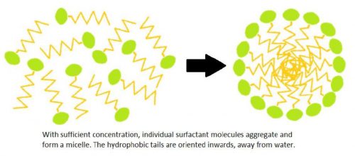 MICELLES