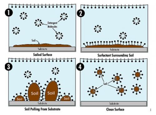 MICELLES AT WORK